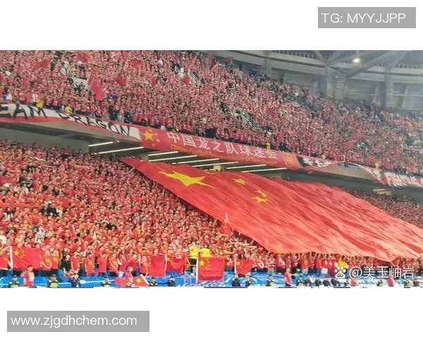 青岛红狮宣布本赛季最后两场主场比赛门票全免球迷可免费观赛